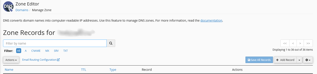 The header of the DNS Zone Editor in cPanel.