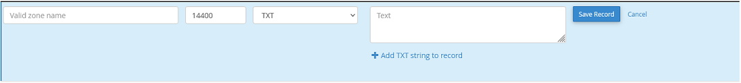 The form used to add a TXT record in the zone editor.