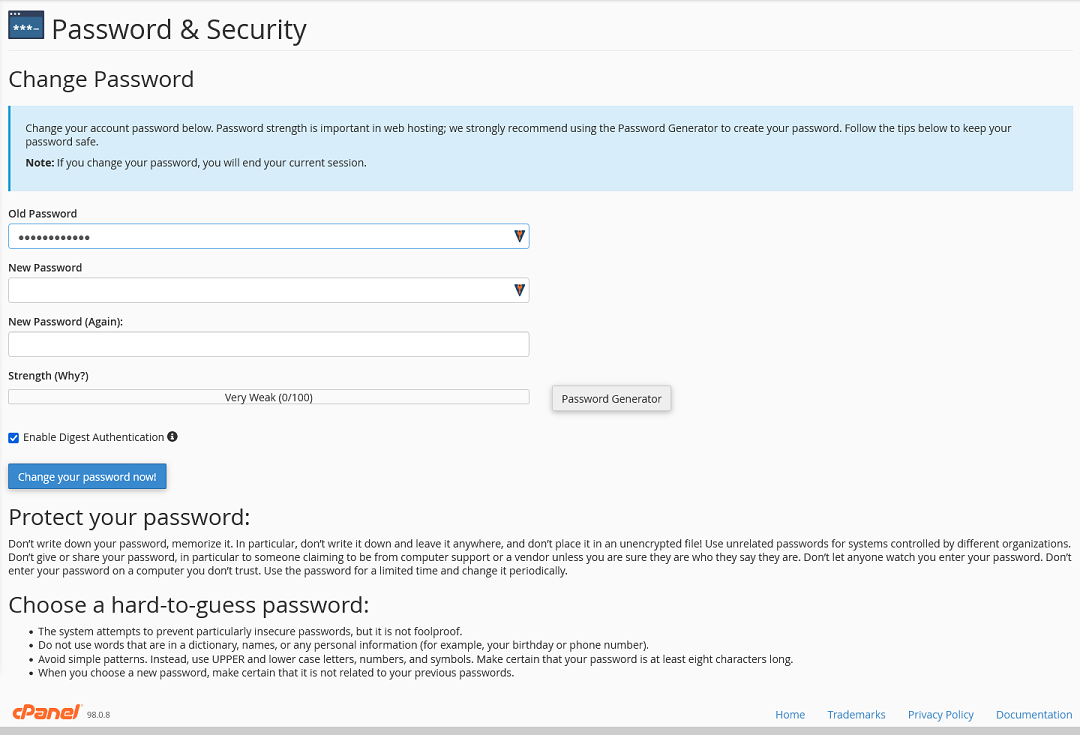 The section of cPanel where you can update your cPanel password.