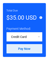 The invoice amount summery with the option to choose method and pay now.