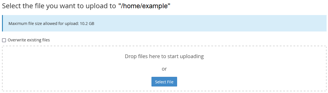 The cPanel file manager file upload screen.