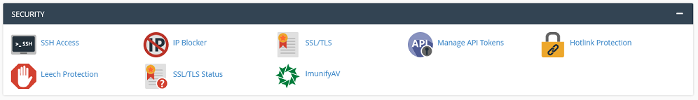 The Security section in cPanel.